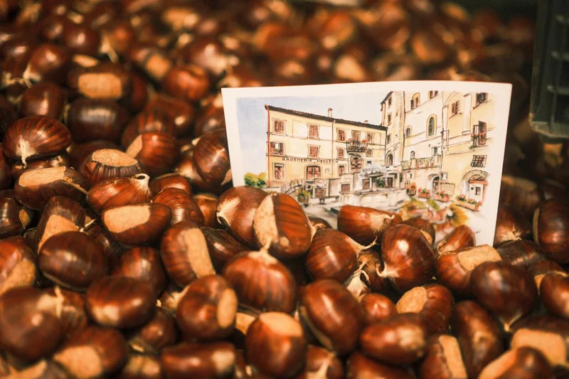 sagra della castagna cave